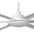 Rotterdam 20 Xl White Fan-3