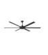Rotterdam 20 Xl Black Fan-1