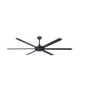 Rotterdam 20 Xl Black Fan-1