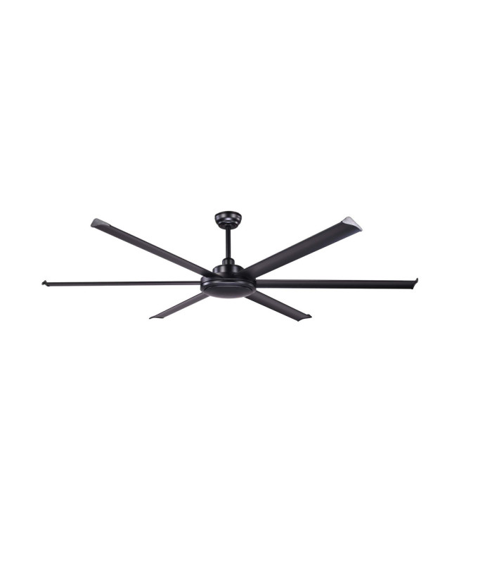 Rotterdam 20 Xl Black Fan-1
