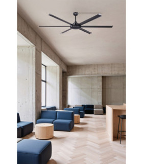 Rotterdam 20 Xl Black Fan-2
