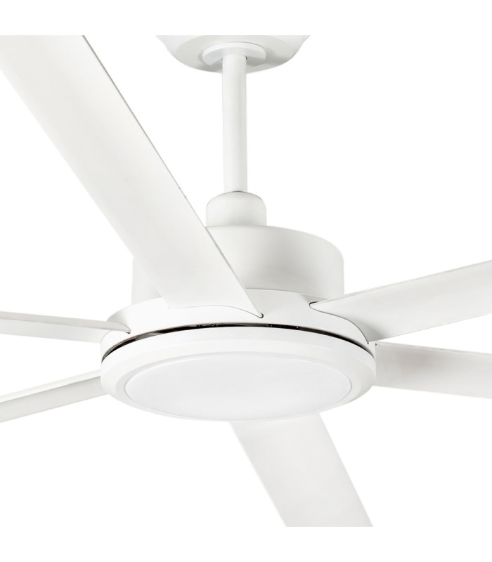 Rotterdam 25 Xxl White Fan-3