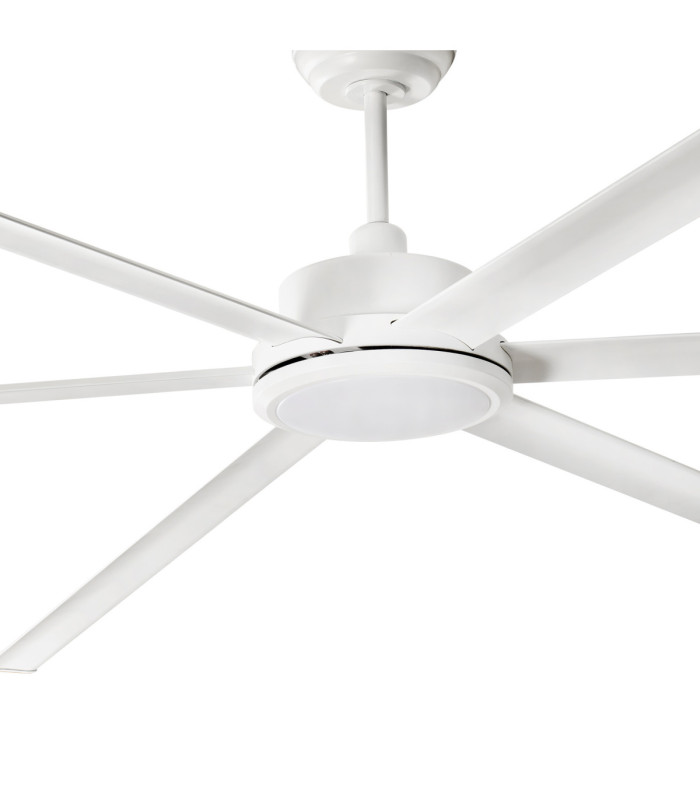 Rotterdam 25 Xxl Led White Fan-4