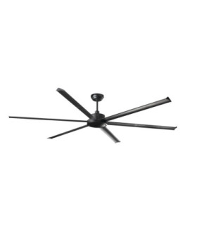 Rotterdam 25 Xxl Black Fan-1