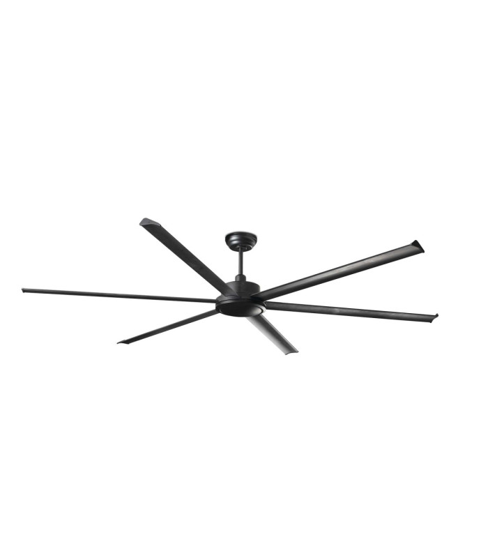 Rotterdam 25 Xxl Black Fan-1
