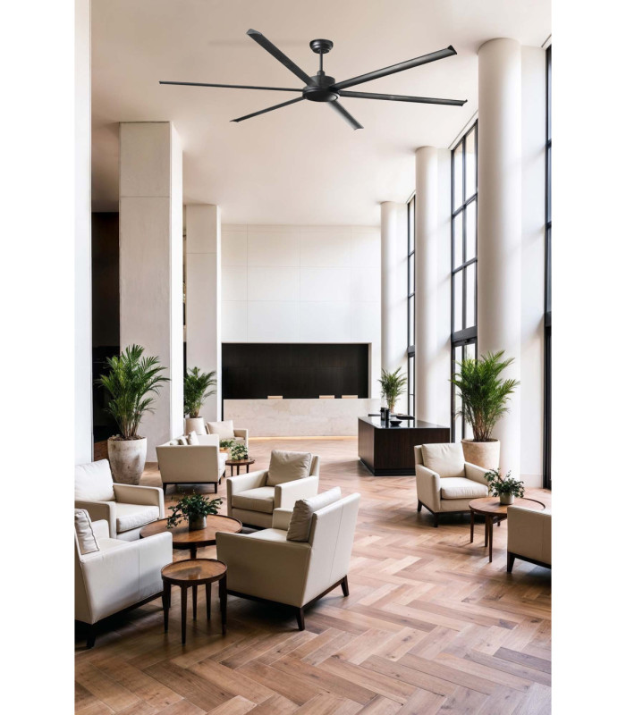 Rotterdam 25 Xxl Black Fan-3