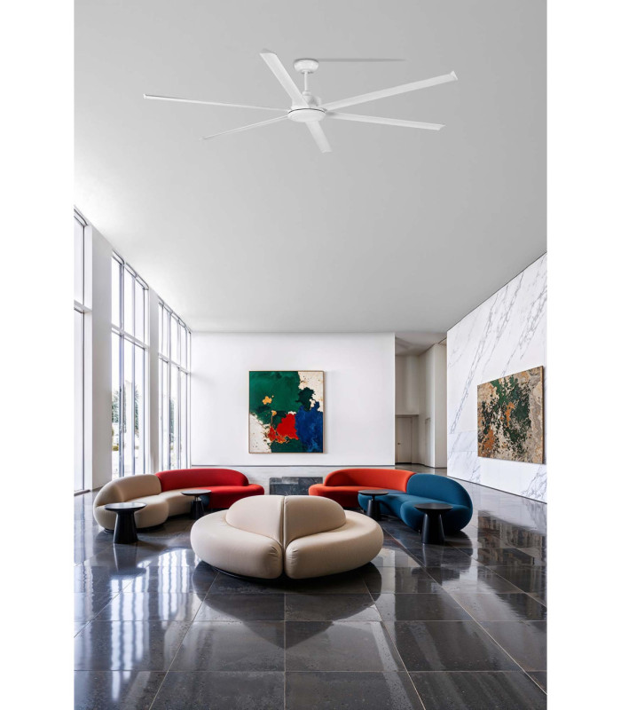 Rotterdam 30 Xxl White Fan-2