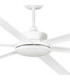 Rotterdam 30 Xxl White Fan-3