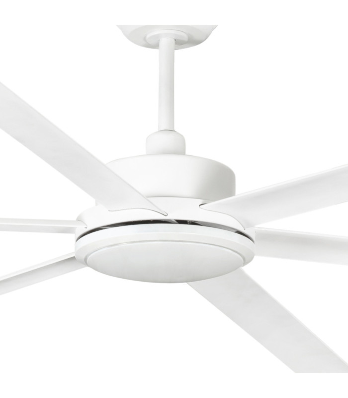 Rotterdam 30 Xxl White Fan-3