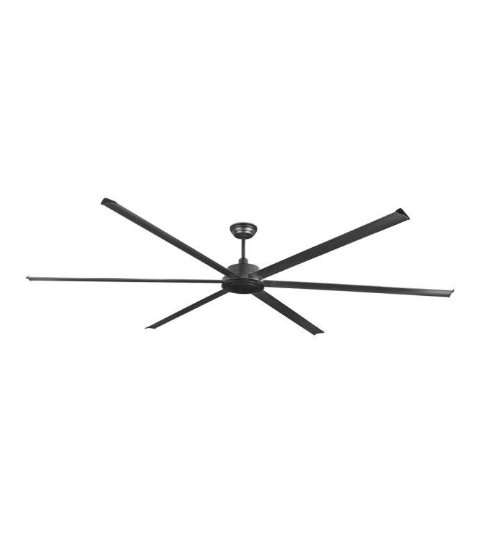 Rotterdam 30 Xxl Black Fan-1