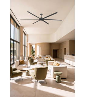 Rotterdam 30 Xxl Black Fan-2