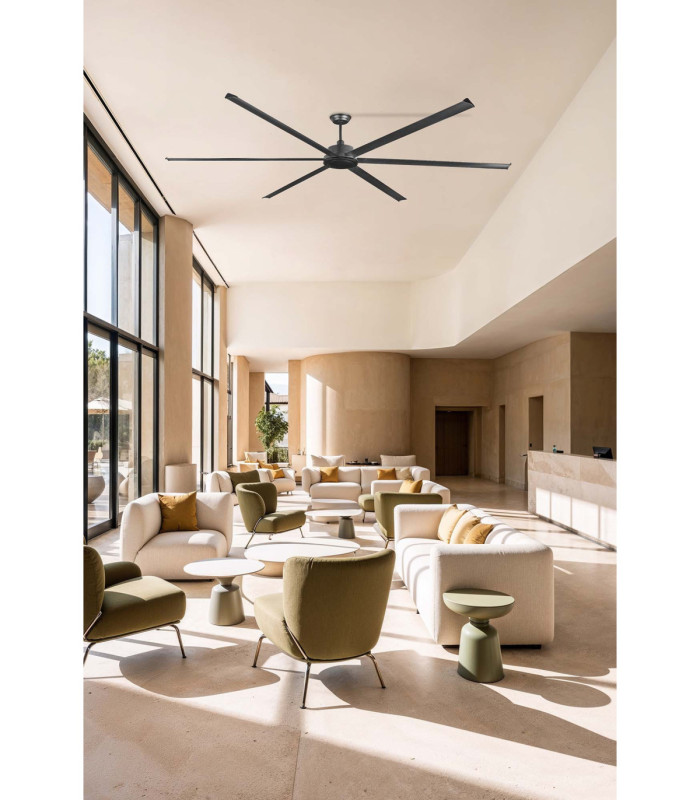 Rotterdam 30 Xxl Black Fan-2