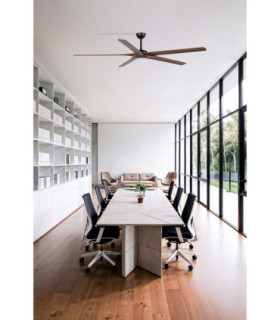 Bigwood 20 Xl Black/Walnut Fan Fsc-2