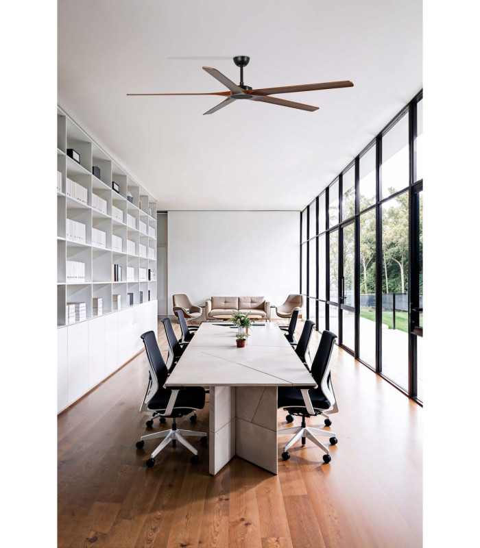 Bigwood 20 Xl Black/Walnut Fan Fsc-2