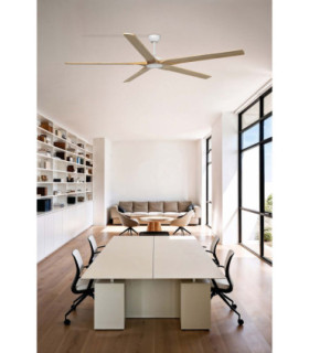 Bigwood 20 Xl White/Pine Fan Fsc-2