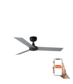 Cruiser S Black/Aluminium Fan Tuya-1