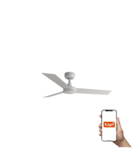 Cruiser S White Fan Tuya-1