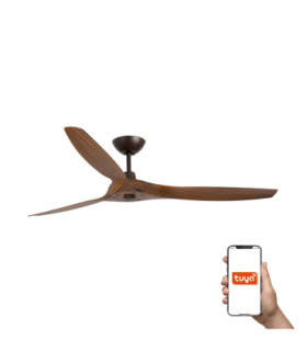 Morea L Brown/Walnut Fan Tuya-1