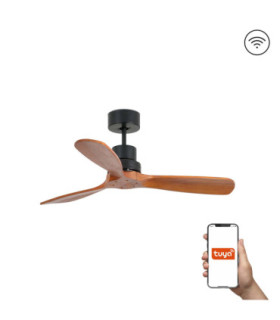 Mini Lantau S Matt Black/Walnut Fan Tuya-1
