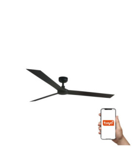 Cruiser Xl Black Fan Tuya-1