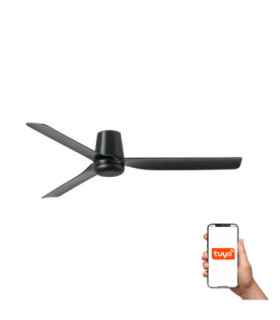 Punt Tub M Black/Walnut Fan Tuya-1