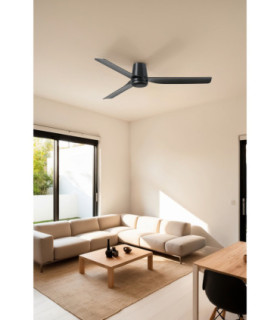 Punt Tub M Black/Walnut Fan Tuya-2
