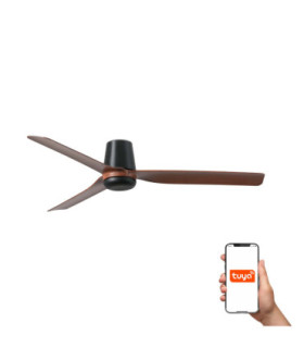 Punt Tub M Black/Walnut Fan Tuya-1