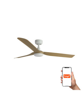 Punt M White/Maple Fan Tuya-1