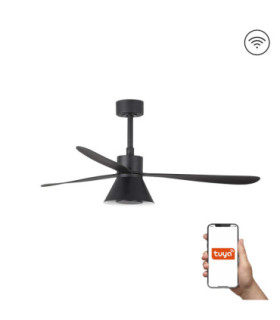 Amelia L Black/Black Fan Wall Control Cct-1