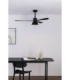 Amelia L Black/Black Fan Wall Control Cct-2