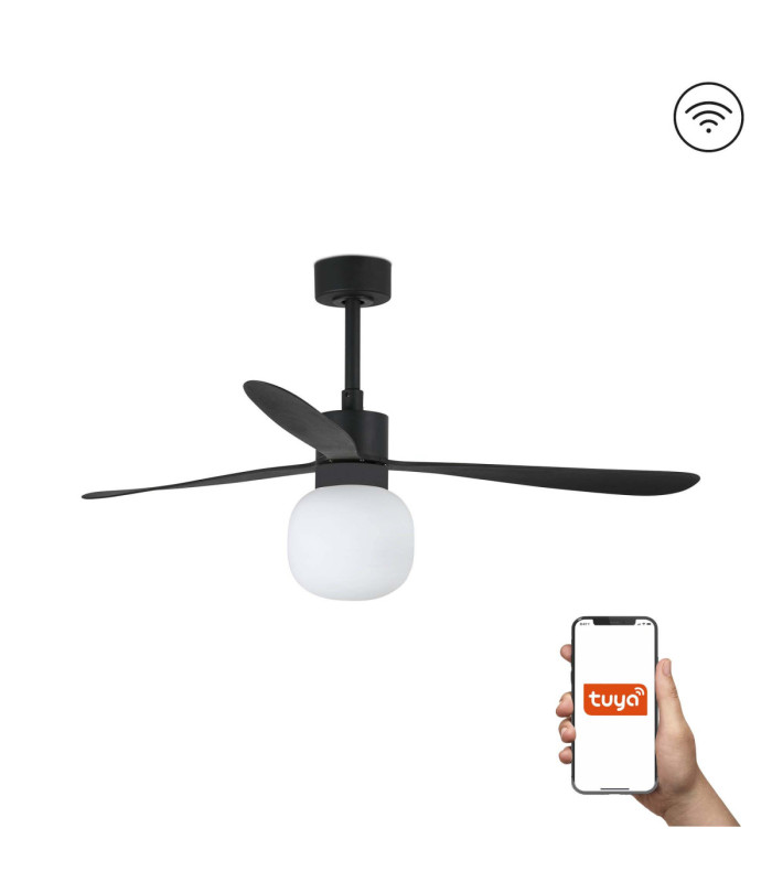 Amelia Ball Black/Black Fan Wall Control 2700K-1