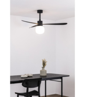 Amelia Ball Black/Black Fan Wall Control 2700K-2
