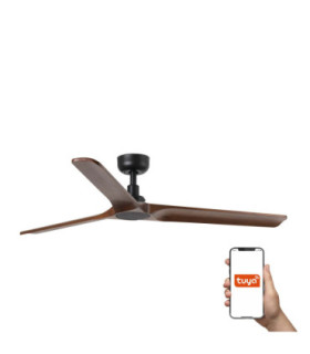 Heywalnut L Black Fan Tuya-1