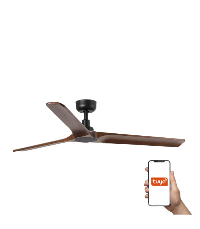 Heywalnut L Black Fan Tuya-1