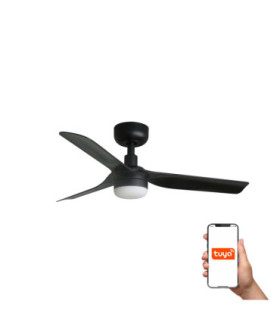 Mini Punt S Led Black/Walnut Fan Tuya-1