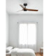 Mini Punt S Black/Walnut Fan Tuya-2