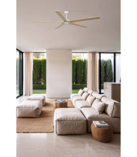 Bigwood 20 Xl White/Pine Fan Tuya Fsc-2
