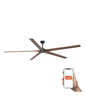 Bigwood 24 Xxl Black/Walnut Fan Smart Fsc-1