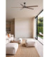 Bigwood 24 Xxl Black/Walnut Fan Smart Fsc-2