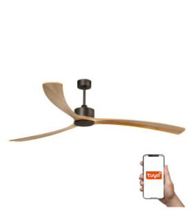 Kauai Xxl Brown/Pine Fan Tuya-1