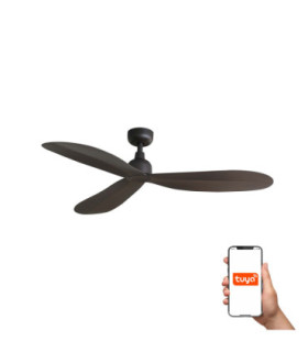 Palma M Brown Fan Ip44 Tuya-1