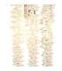 Wisteria Wall Lamp E14 Polished Nickel / Crystal-6
