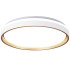 Verona 50cm Round Ceiling 55W LED With Remote Control 2700K-5000K 7350lm Gold 3yrs Warranty-5
