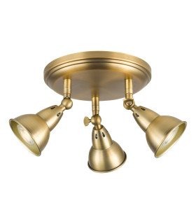 Nathaniel 3 Light Plate Spotlight Aged Brass-1