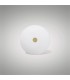 300mm Frosted Acrylic Diffuser with Antique Brass Centre Detail - 2