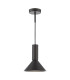 Ragnar Ceiling Pendant/Wall Light Satin Black-1