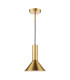Ragnar Ceiling Pendant/Wall Light Natural Brass-1