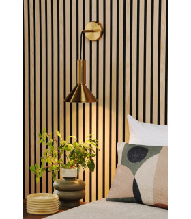 Ragnar Ceiling Pendant/Wall Light Natural Brass-2