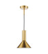 Ragnar Ceiling Pendant/Wall Light Natural Brass-7