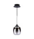 Ramona Ceiling Pendant/Wall Light Matt Black Ombre Glass LED-9